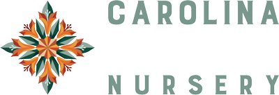Carolina-Native-Logo-Reversed