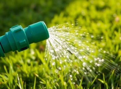 Reduce Water and Fertilizer Use